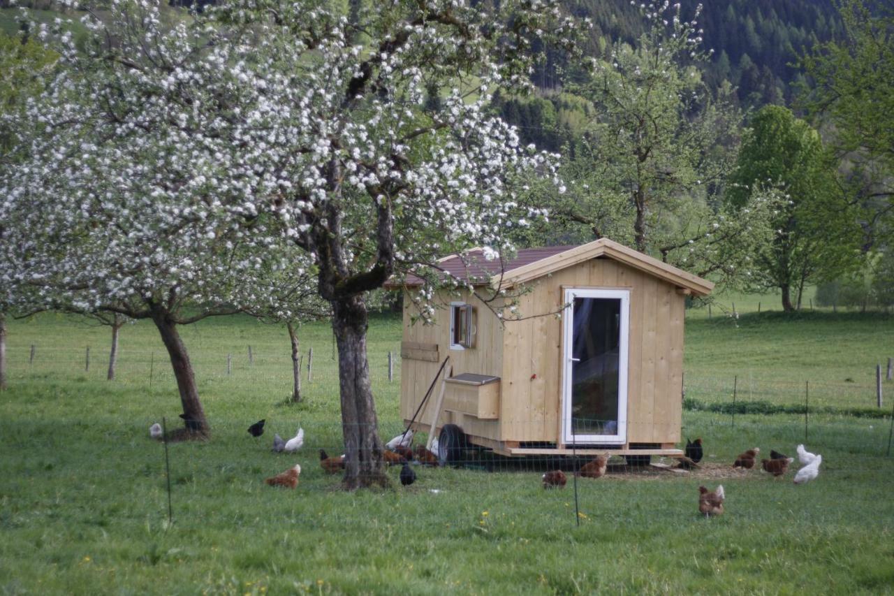 Apartmán Biobauernhof Jagglhof Saalfelden Exteriér fotografie