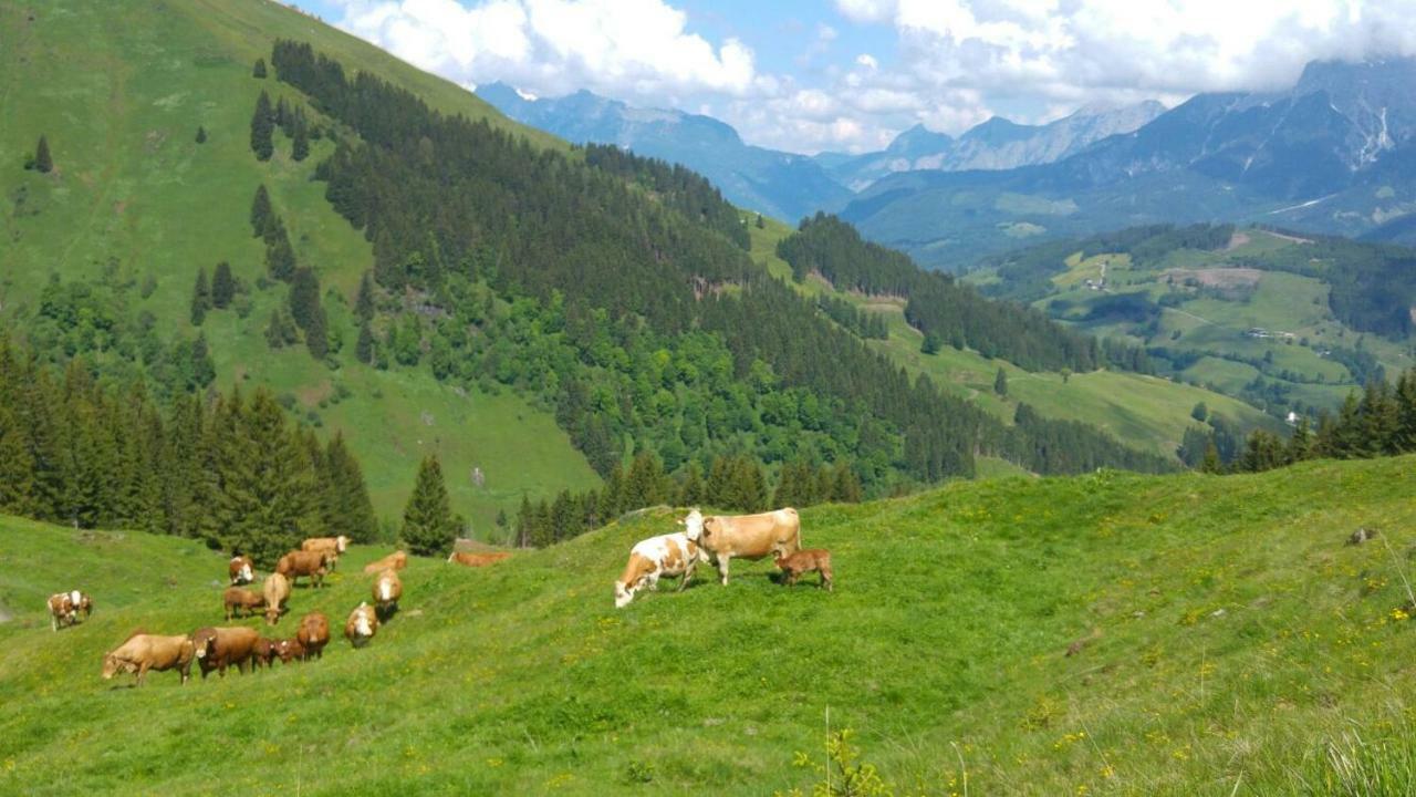 Apartmán Biobauernhof Jagglhof Saalfelden Exteriér fotografie